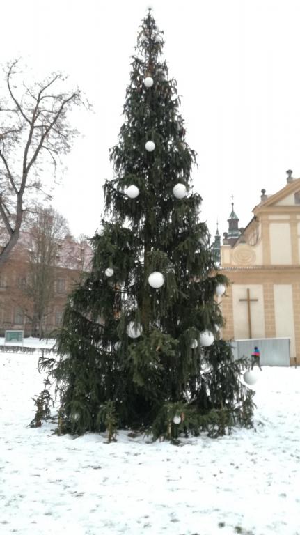 Rozsvícení vánočního stromu Plasy 1.12. 2018